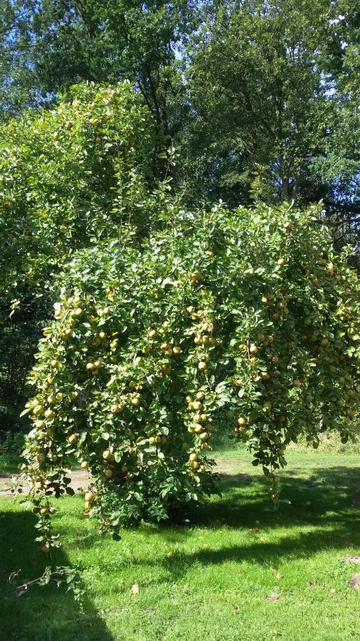Wohnung Am Wald Witzeeze Luaran gambar